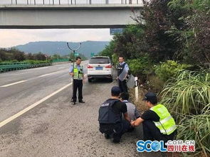 好危險(xiǎn) 巴達(dá)高速上一小車瘋狂逆行被截停