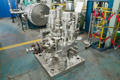 我國首臺核電廠穩壓器先導式安全閥在川通過產品鑒定